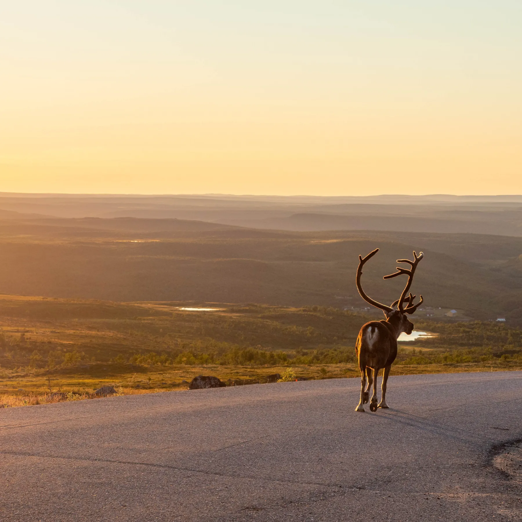 Pentik Lasten Kattaus | Lasten Kattaus^Tuntu Kulho Ruskea