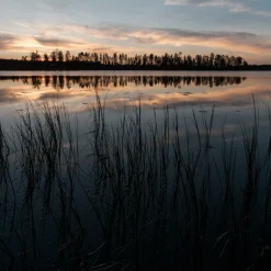 Pentik Kynttilät Ja Kynttilätarvikkeet | Kynttilänjalat Ja Lyhdyt^Ulpukka Lämpökynttiläkuppi Vaaleanpunainen